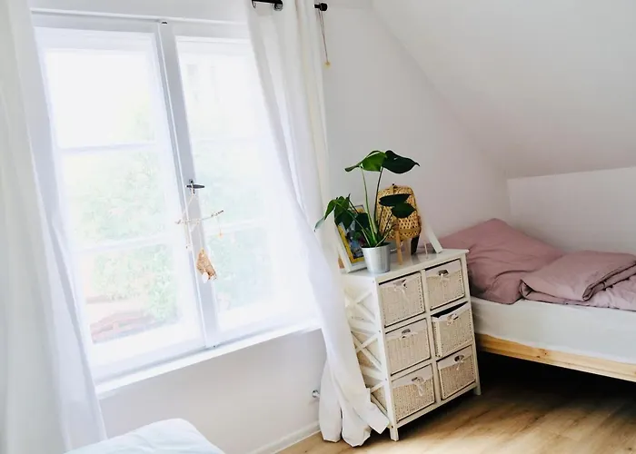 Apartman Belmondo House